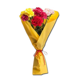 Mixed Carnations with Fillers Flower Bouquet